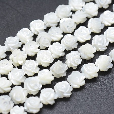 Natural White Shell Beads Strands SSHEL-P015-01A-6mm-1