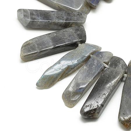 Natural Labradorite Beads Strands G-R419-03-1