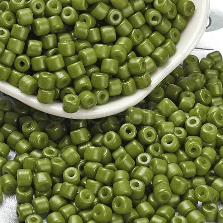 Baking Paint Pearlized Glass Seed Beads SEED-C001-04A-09-1