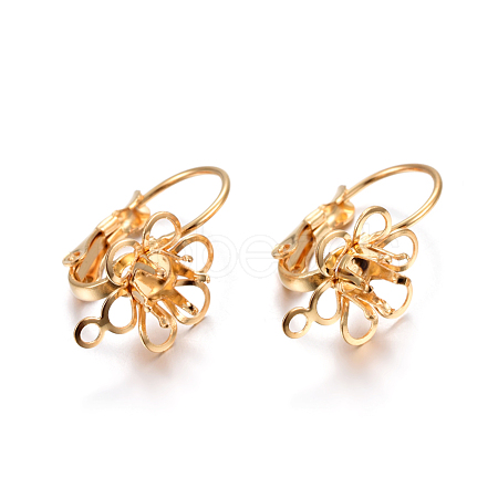 304 Stainless Steel Leverback Earring Findings X-STAS-P223-24G-1