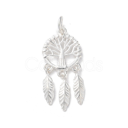 925 Sterling Silver Pendants STER-E071-03S-02-1