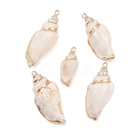 5Pcs Electroplated Natural Shell Pendants BSHE-YW0001-10-1