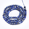 Natural Lapis Lazuli Beads Strands G-T108-36-2
