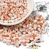 Baking Paint Glass Seed Beads SEED-F006-01A-10-1