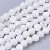 Natural Rainbow Moonstone Beads Strands G-R462-032B-1