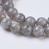 Natural Labradorite Beads Strands X-G-G212-8mm-23-3