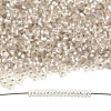TOHO 6/0 Demi Round Beads SEED-DR06-PF21F-5