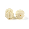 Synthetic Shell & Resin Beads BSHE-G036-21-2