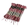 10 Skeins 6-Ply Polyester Embroidery Floss OCOR-K006-A60-1