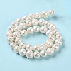 Natural Cultured Freshwater Pearl Beads Strands PEAR-E018-02-3