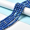 Synthetic Turquoise and Sea Shell Assembled Beads Strands G-D482-01E-03-1