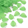 Transparent Frosted Acrylic Pendants MACR-S371-09A-734-1