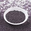 MIYUKI Round Rocailles Beads SEED-X0054-RR0024-3