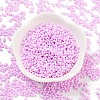 Baking Paint Glass Seed Beads X1-SEED-A033-05N-2