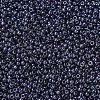 MIYUKI Round Rocailles Beads X-SEED-G007-RR0171-3