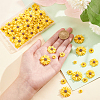100Pcs 4 Styles Flatback Hair & Costume Accessories Ornaments Resin Flower Daisy Cabochons CRES-NB0001-37A-3