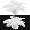 20Pcs 2 Styles Ostrich Feather Costume Accessories FIND-TA0005-96-3