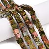 Natural Unakite Beads Strands G-T139-8x8-08A-1