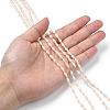 Opaque Glass Beads Strands GLAA-P001-04A-04-5