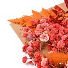 Dried Flower DIY-B018-06-2