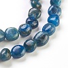 Natural Apatite Beads Strands X-G-F575-07-2