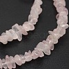 Chips Natural Rose Quartz Beads Strands G-N0164-39-2