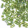 FGB Grade A Glass Seed Beads SEED-S022-05H-2