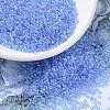 MIYUKI Round Rocailles Beads X-SEED-G007-RR0299-1