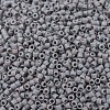 MIYUKI Delica Beads SEED-X0054-DB0882-2