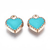 Alloy Enamel Charms ENAM-Q033-51F-3