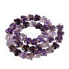 Natural Amethyst Beads Strands G-N371-10A-04-3