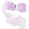 Polyester Deco Mesh Ribbons OCOR-TAC0024-004B-1