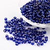 6/0 Round Silver Lined Round Hole Glass Seed Beads X-SEED-A005-4mm-28-1