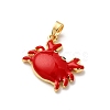 Brass Enamel Pendants X-KK-K305-04G-3
