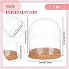 Glass Dome Cover DIY-WH0430-621C-2