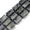 Natural Labradorite Beads Strands G-G162-D13-02-1