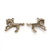 Tibetan Style Alloy Pendants TIBEP-A16618-AB-FF-2