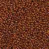 TOHO 11/0 Round Beads X-SEED-TR11-0303-2