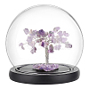 Glass Round Cover AJEW-WH0314-447B-02-1