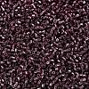 MIYUKI Delica Beads X-SEED-J020-DB2170-3