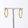 304 Sainless Steel Hoop Earrings for Women AL6869-3