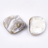 Freshwater Shell Beads X-SSHEL-T005-11-3
