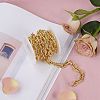 Brass Paperclip Chains LCHA-SZ0001-01G-RS-5