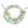 Natural Chrysoprase Beads Strands G-S333-6mm-037-2