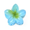 Plastic Claw Hair Clips PW-WG07B2B-05-1