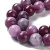 Dyed Natural Malaysia Jade Beads Strands G-G021-01C-08-4