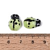 Handmade Lampwork Beads LAMP-R004-04-06-3