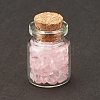 Transparent Glass Wishing Bottle Decoration LS-DJEW-A001-01A-07-2