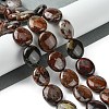 Natural Brecciated Jasper Beads Strands G-K365-B20-03-2