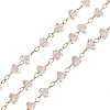 Glass & 304 Stainless Steel Beaded Chains SA-CBAD321-04E-1